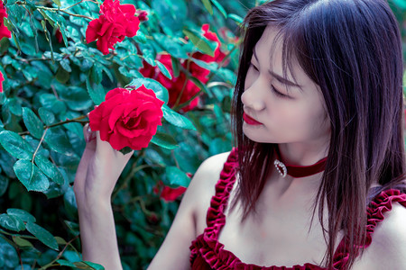 小村庄也有大作为：乡村蝶变中看乌兰察布振兴密码